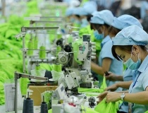 Nhiều rào cản khiến tiến trình chuyển đổi xanh còn chậm