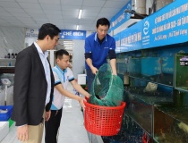 Tăng cường chuyển đổi số trong xây dựng nông thôn mới trên địa bàn tỉnh Quảng Trị