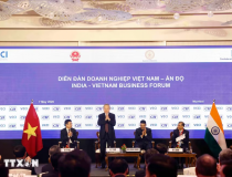 Tổng Bí thư, Chủ tịch nước Tô Lâm dự Diễn đàn doanh nghiệp Việt Nam - Ấn Độ