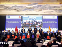 Tổng Bí thư, Chủ tịch nước Tô Lâm chứng kiến Lễ trao các thỏa thuận hợp tác giữa các DN Việt Nam và Ấn Độ