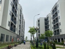 Nguồn cung nhà ở xã hội tăng tốc với gần 37.000 căn hộ khởi công mới