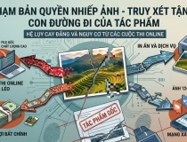 Vi phạm bản quyền nhiếp ảnh: Cần truy xét tận gốc 'đường đi' của tác phẩm