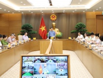 Kiên quyết chấn chỉnh tình trạng 'mua bán' mã số vùng trồng, bảo vệ uy tín nông sản Việt