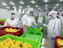 Khoa học, công nghệ là 'chìa khóa' chuyển đổi mô hình tăng trưởng nông nghiệp