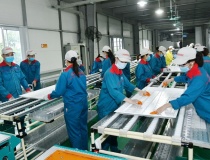 Doanh nghiệp tư nhân cán mốc 1 triệu: Nghịch lý quy mô nhỏ, khó khăn bủa vây