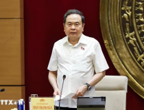 Ủy ban Khoa học, Công nghệ và Môi trường không được phép đi sau thực tiễn