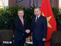 Tổng Bí thư, Chủ tịch nước Tô Lâm tiếp các doanh nghiệp lớn của Singapore