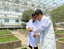 KHCN trong nông nghiệp: Chuyển từ tư duy 'làm đề tài' sang 'tạo sản phẩm'