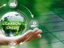 Nhu cầu trao đổi tín chỉ carbon quốc tế đang tăng mạnh