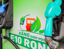Xăng E10 tăng tốc phủ sóng toàn quốc: Thêm 6 doanh nghiệp tham gia pha chế, nguồn cung tiếp tục được củng cố