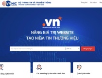 Hai đợt đấu giá mang về hơn 1,5 tỷ đồng: Tên miền nào có giá cao nhất?