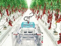 Điều kiện thành lập khu nông nghiệp ứng dụng công nghệ cao