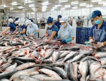 FTA Việt Nam - EFTA: Cơ hội mới cho xuất khẩu thủy sản Việt Nam