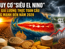 Siêu El Nino có thể đẩy giá lương thực toàn cầu tăng mạnh