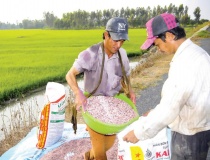 Xuất khẩu phân bón 6 tháng đầu năm đạt gần 1 tỷ USD, tăng hơn gấp đôi về giá trị