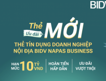 BIDV Napas Business - giải pháp thanh toán hiệu quả của doanh nghiệp