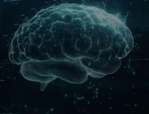 BrainCo: 