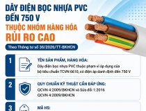 Dây điện bọc nhựa PVC đến 750 V là hàng hóa bắt buộc phải công bố hợp quy