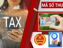Ngành Thuế tăng tốc chiến dịch 'Làm sạch mã số thuế', rà soát hơn 617.000 doanh nghiệp