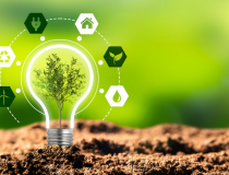 Thuế carbon 15 USD/tấn CO₂ có thể giảm 2,9% lượng phát thải nhưng cũng ảnh hưởng GDP