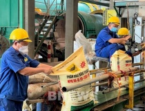 Phân bón Bình Điền (BFC) chốt ngày chia chia cổ tức, tiền mặt 35%