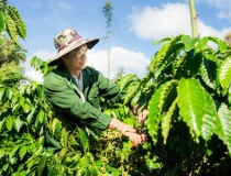 Cuộc đua sở hữu dữ liệu vùng trồng