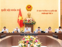 Sửa Luật Hải quan siết quản lý giao dịch xuất nhập khẩu trên nền tảng số