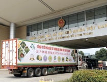 Hải quan ra “lệnh khẩn” thông quan sầu riêng ngay trong ngày
