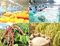 Giảm phát thải: 'Giấy thông hành' cho nông sản xuất khẩu