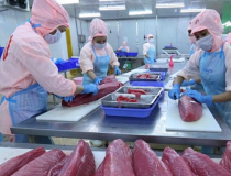 CPTPP thúc đẩy kết nối thương mại và đầu tư trong giai đoạn mới