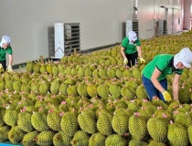 Giao dịch mua bán bằng bảng kê: Doanh nghiệp cần hiểu đúng và áp dụng chuẩn