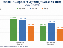 Giá gạo xuất khẩu phục hồi nhưng doanh nghiệp vẫn chịu áp lực cạnh tranh gay gắt
