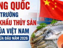 Trung Quốc là thị trường xuất khẩu thủy sản lớn của Việt Nam