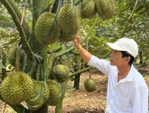 Lâm Đồng mở rộng nông nghiệp hữu cơ, xây dựng chuỗi giá trị nông sản xanh