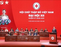 Tổng Bí thư, Chủ tịch nước Tô Lâm: Chuyển mạnh từ cứu trợ tình thế sang chủ động phòng ngừa