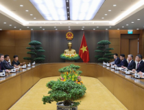 Trưởng đại diện IMF đánh giá cao nỗ lực phát triển của Việt Nam