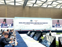 Việt Nam đề xuất 4 ưu tiên hợp tác lâm nghiệp APEC