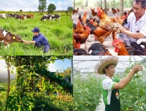 Chính sách mới có hiệu lực từ tháng 8/2026