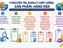 5 nguyên tắc quản lý chất lượng sản phẩm, hàng hóa theo mức độ rủi ro