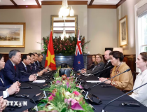 Tổng Bí thư, Chủ tịch nước Tô Lâm hội kiến Toàn quyền New Zealand