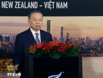 Tổng Bí thư, Chủ tịch nước Tô Lâm dự Hội nghị bàn tròn doanh nghiệp New Zealand - Việt Nam