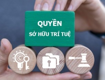 Tăng cường chế tài xử lý các hành vi xâm phạm quyền, vi phạm pháp luật về sở hữu trí tuệ