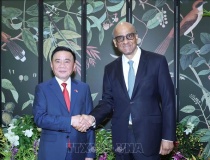 Việt Nam - Singapore thúc đẩy hợp tác AI, bán dẫn, tài chính xanh