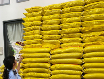 Cà Mau: Xử phạt 16 triệu đồng, tịch thu hơn 1.200kg gạo không rõ nguồn gốc