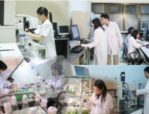 11 nhóm vị trí công tác lĩnh vực khoa học, công nghệ tại chính quyền địa phương phải định kỳ chuyển đổi