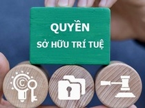 Thực thi quyền sở hữu trí tuệ: Tăng xử lý hình sự, siết vi phạm trên môi trường số