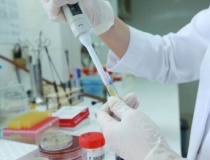 Điều kiện kinh doanh dịch vụ giám định: Yêu cầu chặt chẽ về tổ chức và nhân sự