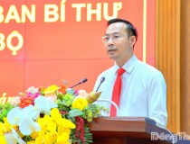 Ông Nguyễn Thanh Nhàn giữ chức Phó Bí thư Tỉnh ủy Đồng Tháp