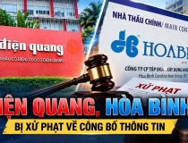 Điện Quang, Xây dựng Hòa Bình bị xử phạt về công bố thông tin