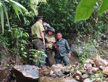 Tăng cường giám sát rừng bằng công nghệ số